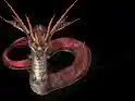 005224.webp