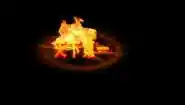 image.webp