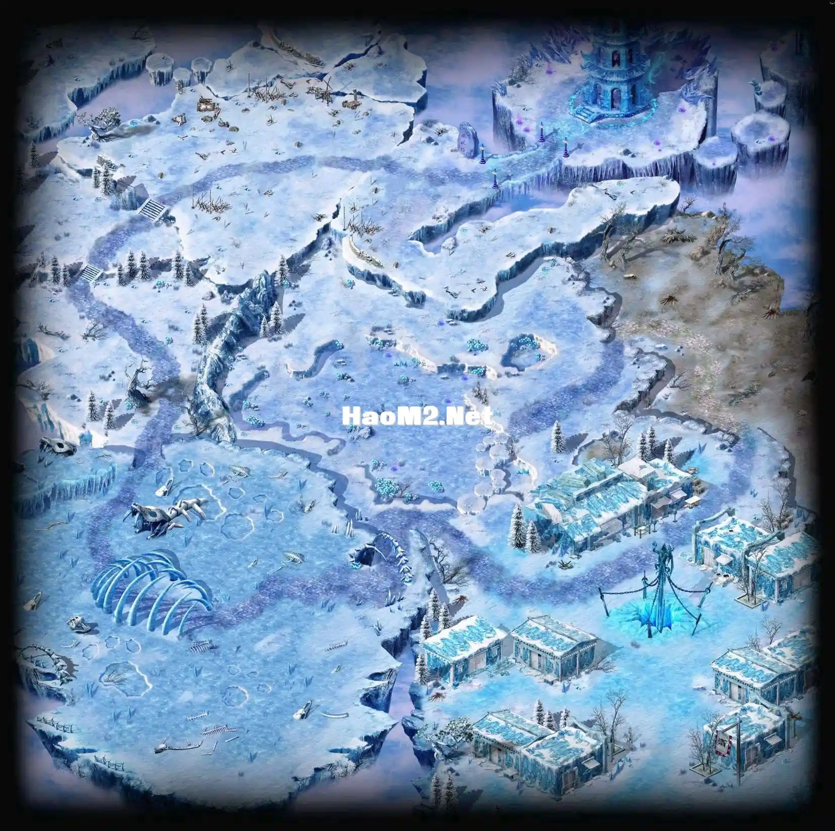 NEW-004.webp