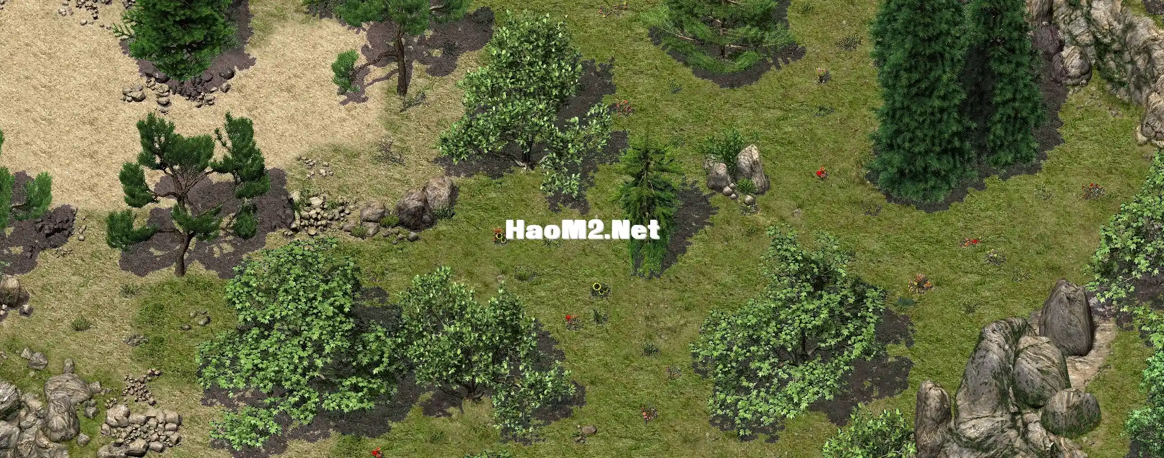 2.webp