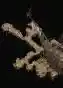06350.webp