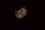 06383.webp