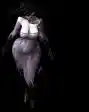26.webp