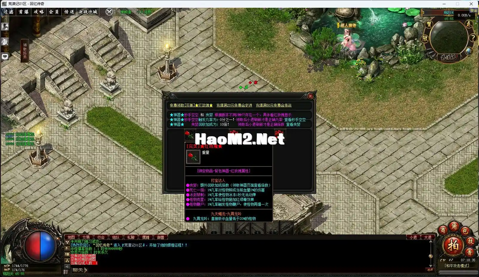 5.webp