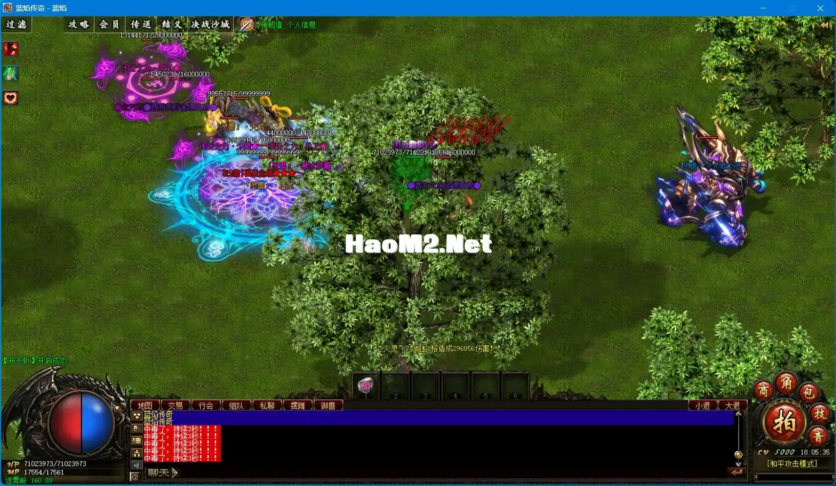 image.webp