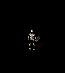 1112.gif