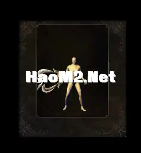 3.webp