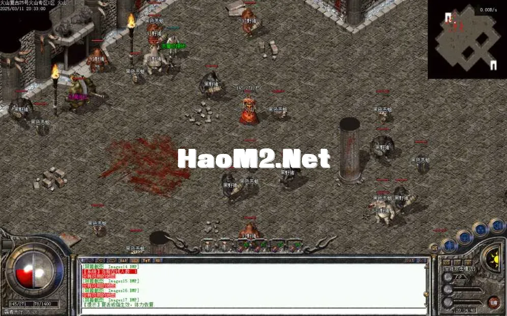 Images18.BMP.webp