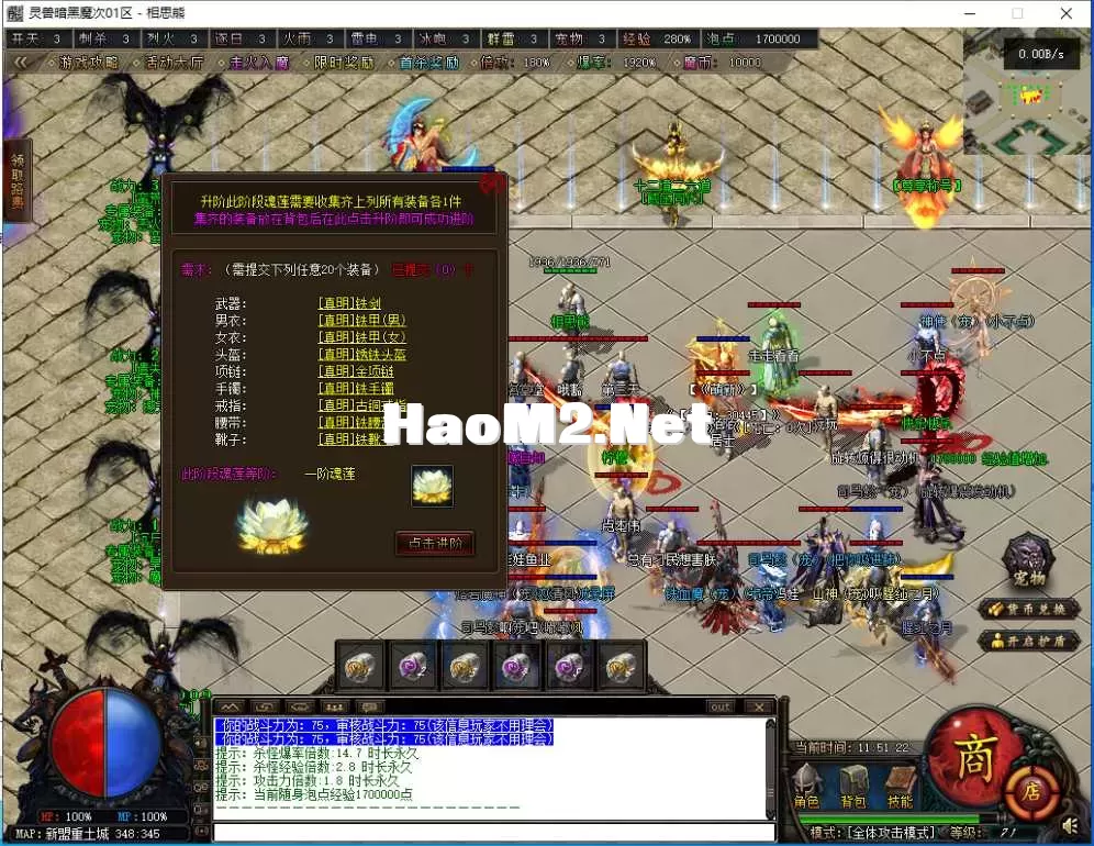35.webp