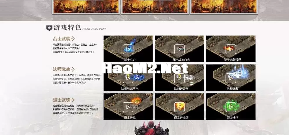7.webp