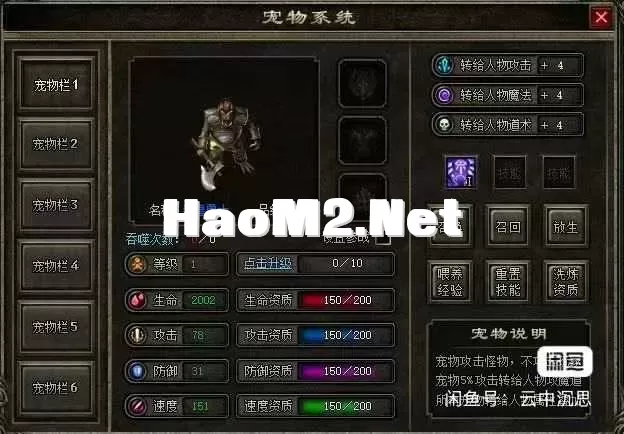 5.webp