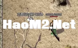 这是装备在地上的样子