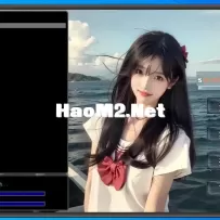 一款独特的登录器皮肤（翎风）
