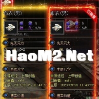 稀缺-装备备注框悬浮框特效边框